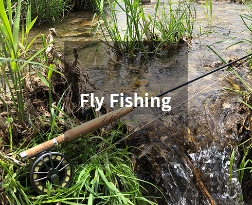 Fly Fishing